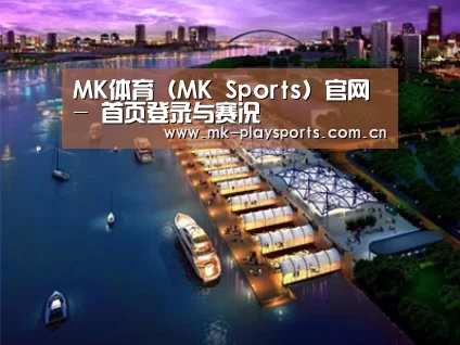 案例展示八