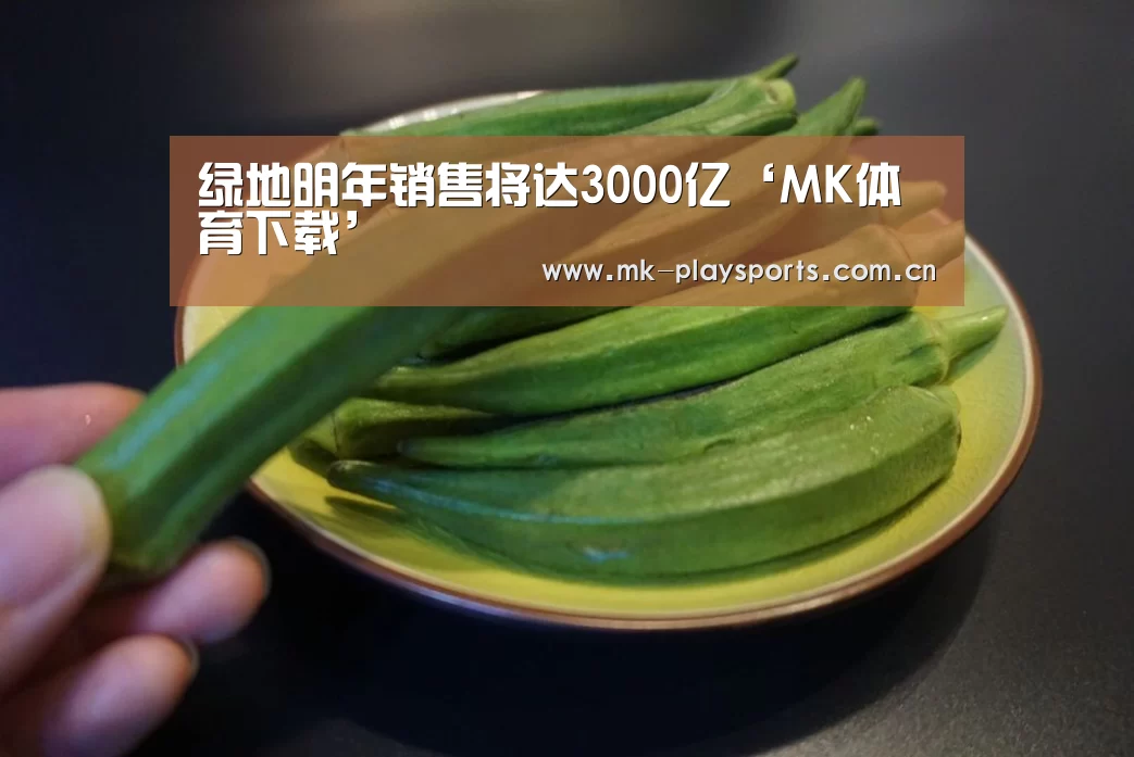 MK体育官方网站