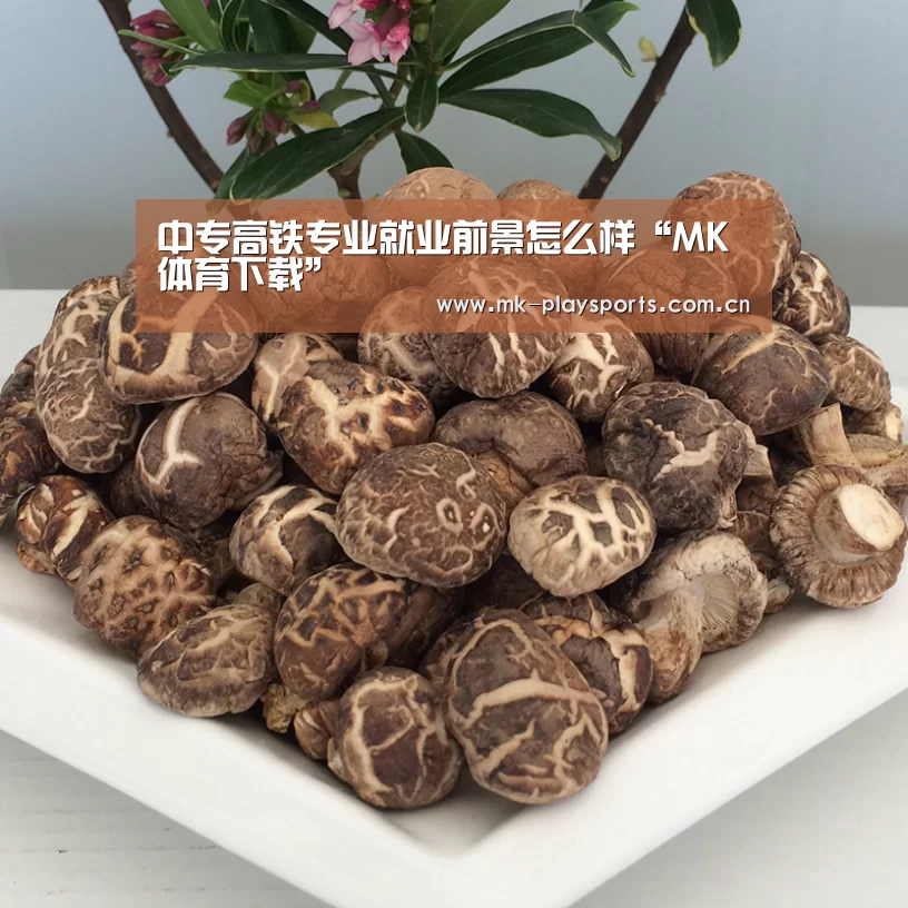 MK体育下载