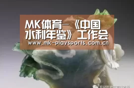 MK体育-《中国水利年鉴》工作会议在合肥召开(图2) MK体育官方网站