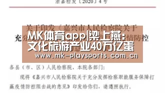 MK体育app|梁上燕：文化旅游产业40万亿蛋糕待开发(图1)