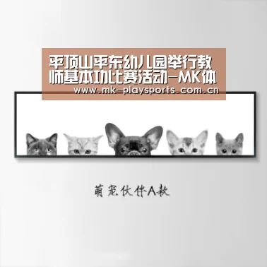 MK体育下载